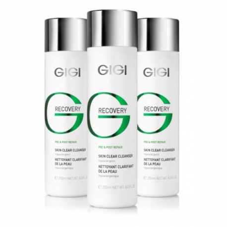 PUHASTUSGEEL 250ML GIGI RECOVERY PRE&POST