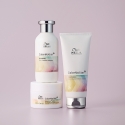 Wella ColorMotion+